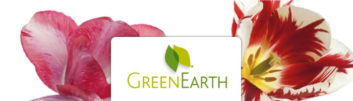 Green Earth®, Product Brands